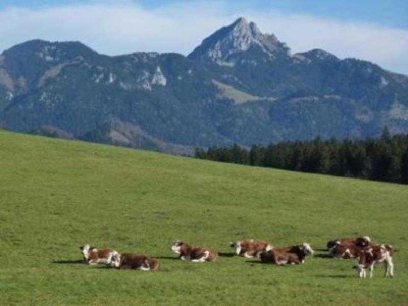 Ferienwohnung Del Toso Schliersee Zewnętrze zdjęcie